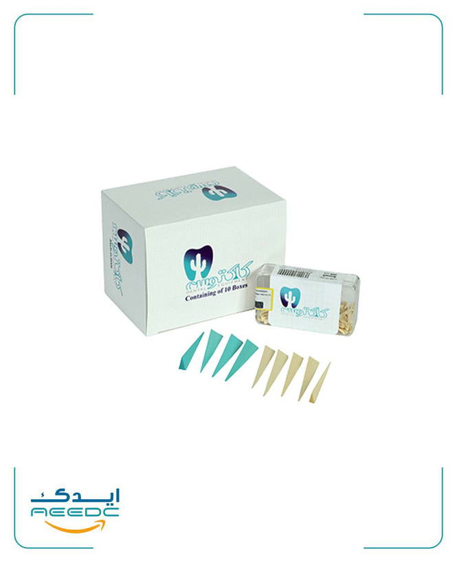 وج چوبی کاکتوس